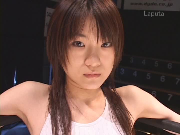 遥